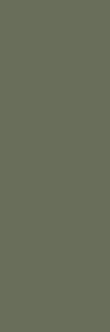 Porcelanato Vidrado Nova Arquitectura Fundo Cinca - Verde Safari, 10 x 30 x 0,7 cm, não