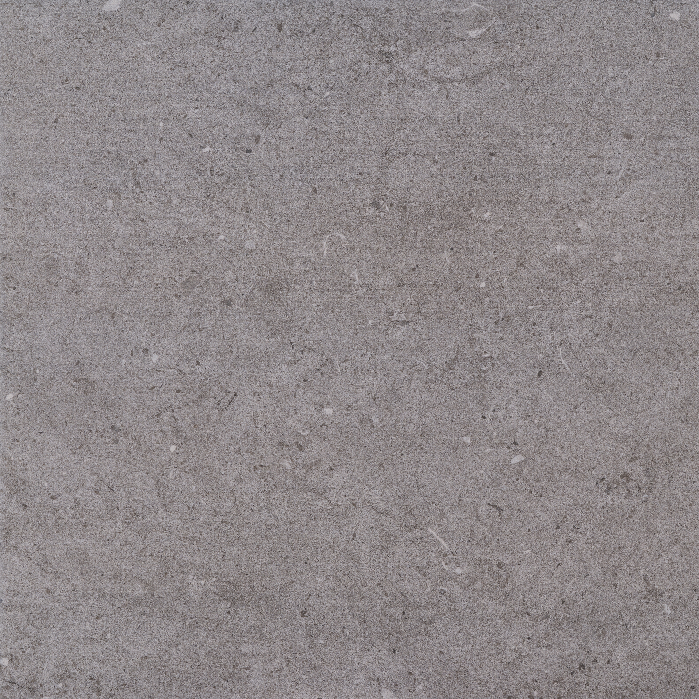 Pavimento Antica Base prensada 447x447x8.3 Pavigres