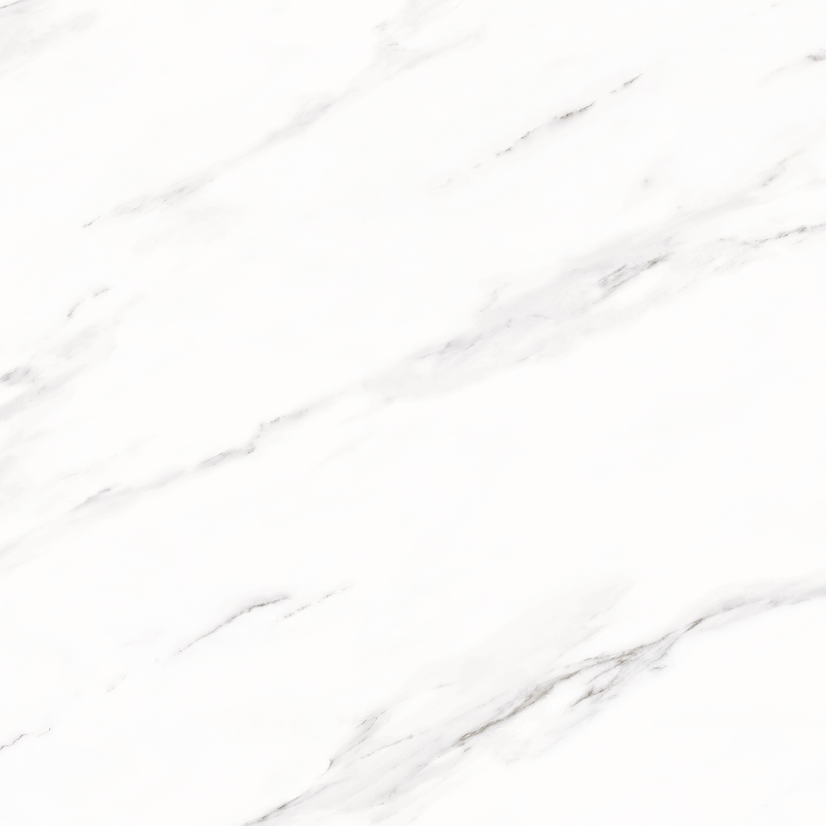 Product gallery 322789