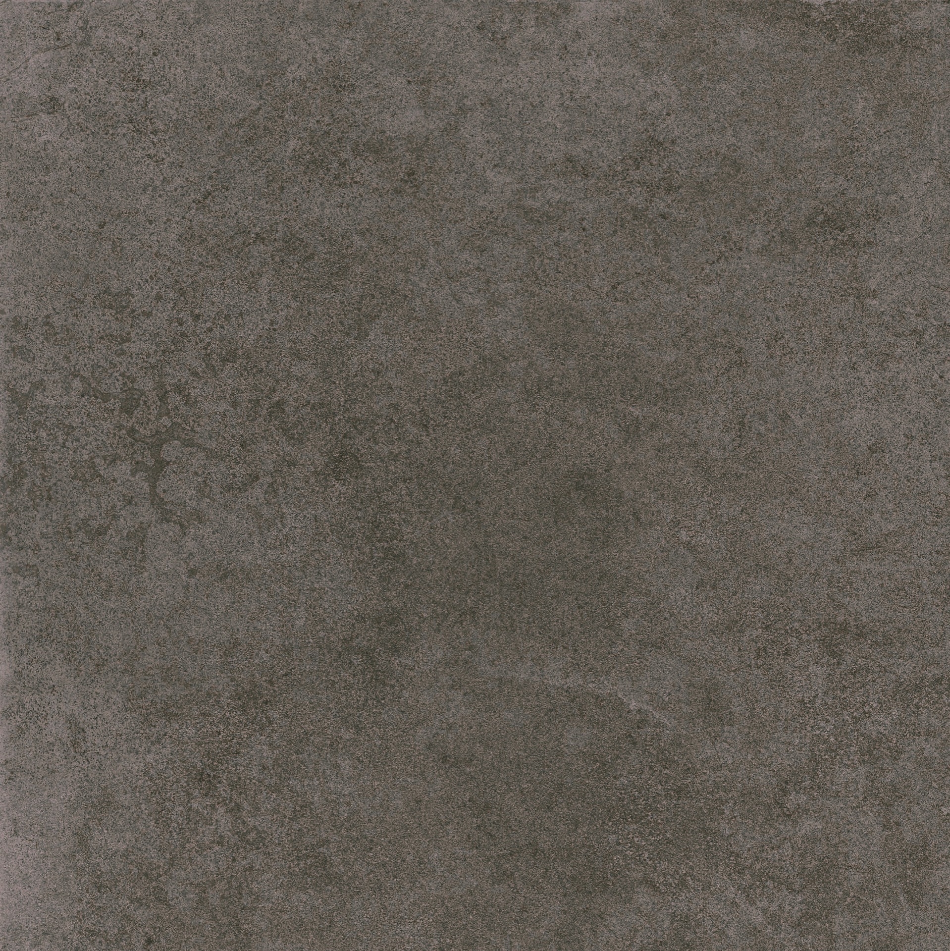 Porc. Técnico Urban Revigres