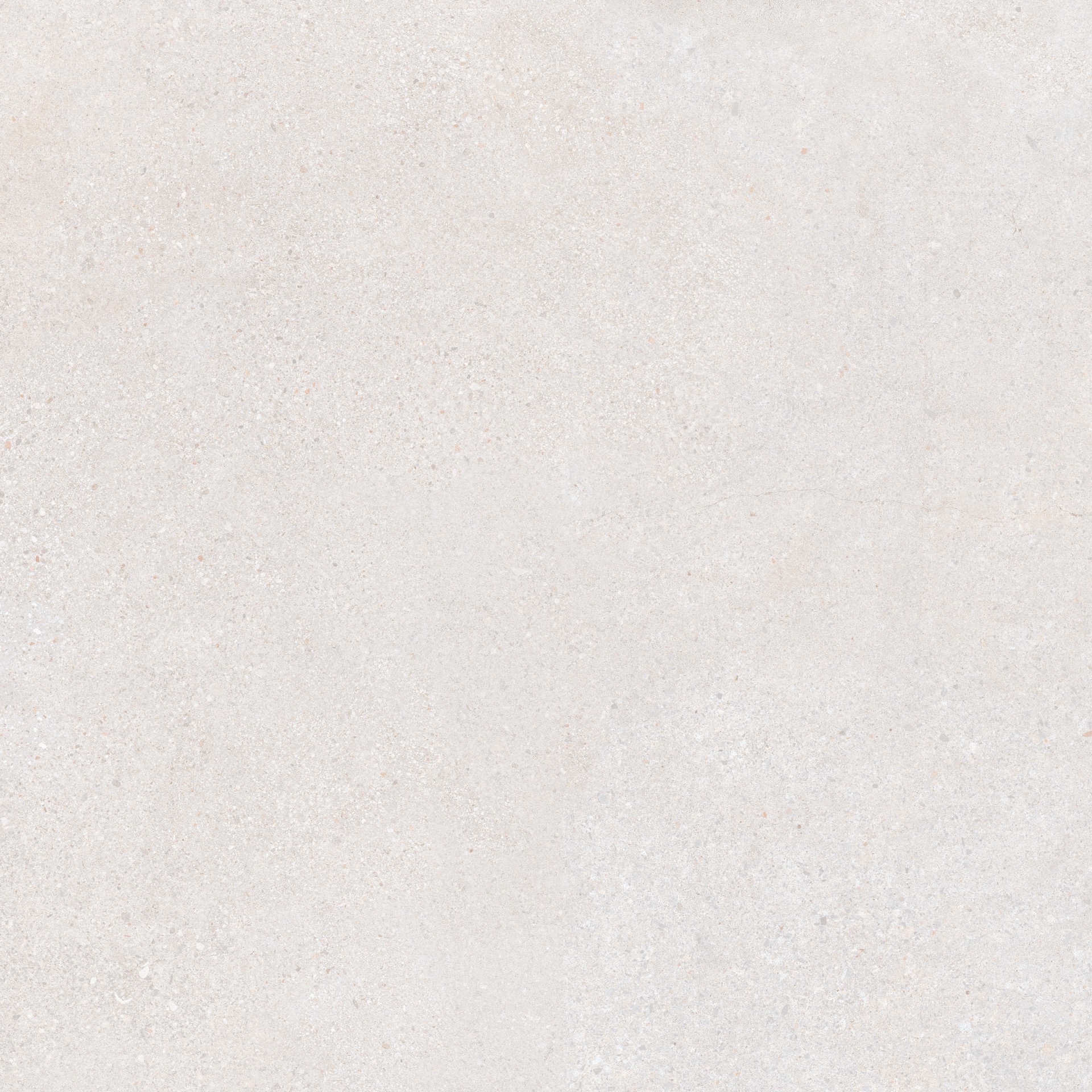 Porc. Técnico Cityzen Revigres