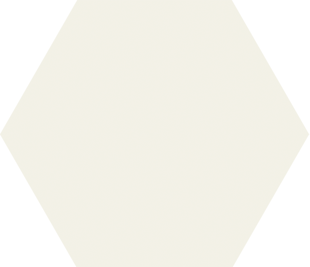 Monoporosa Alloy Hexag Revigres