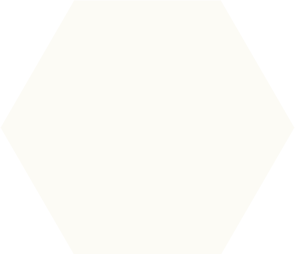 Monoporosa White Hexag Revigres