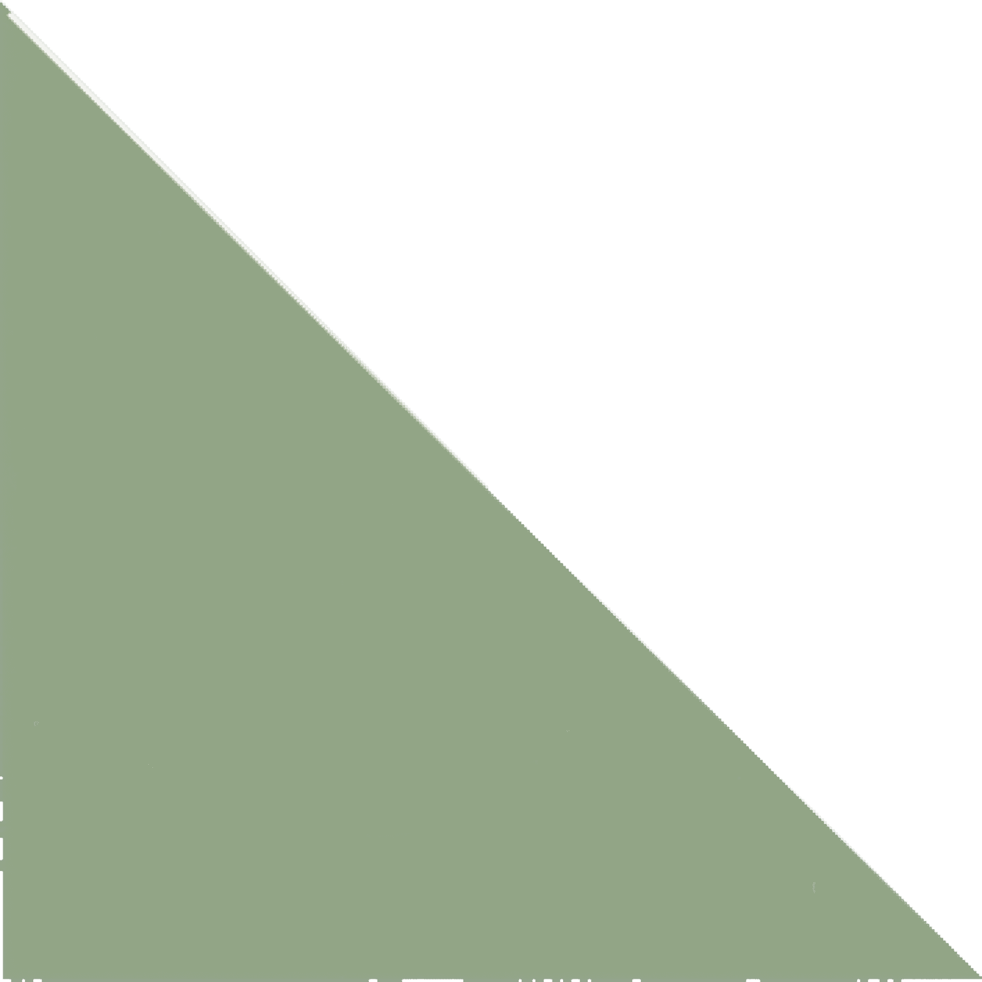option-undefined