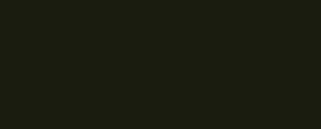 option-undefined