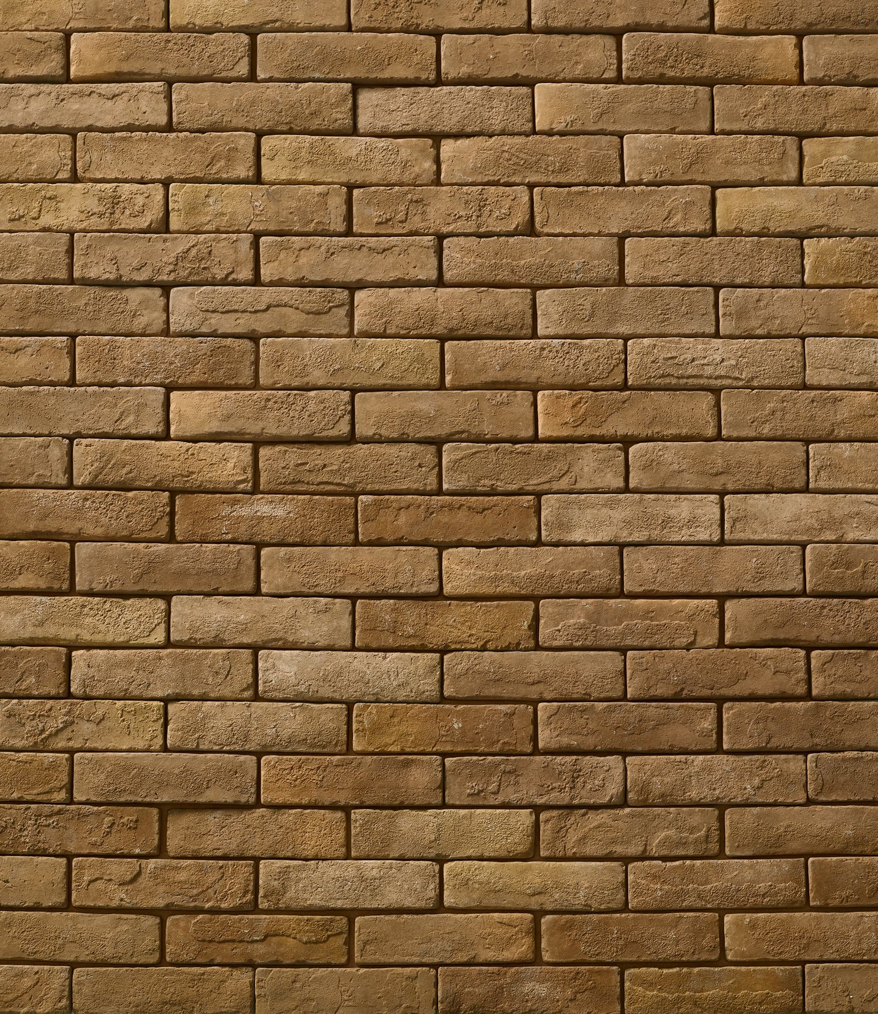 Revestimento de parede em betão 885 Cementbrick 215x60x10 mm ACL