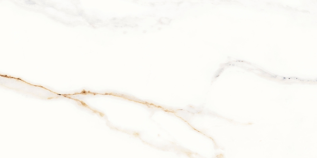 Porcelanato Palace - Aleluia Ceramics White 45x90 cm 1 sim