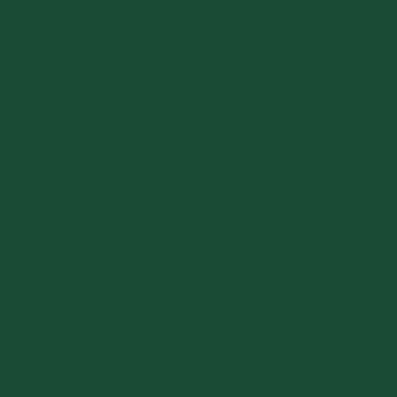 option-undefined