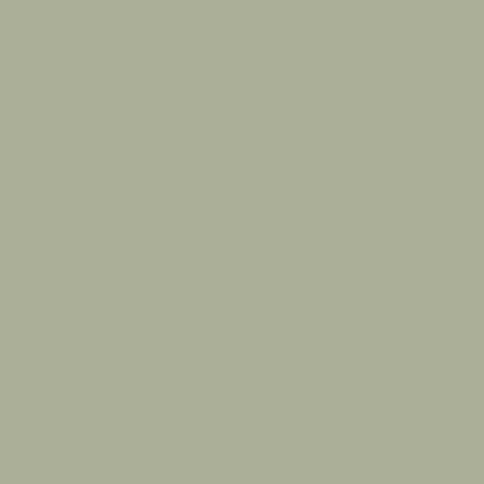 option-undefined